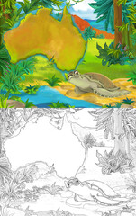Cartoon scene with sketch turtle amphibian with continent map - illustration