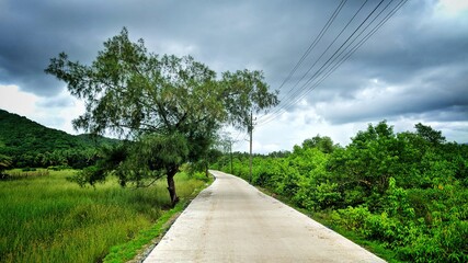 path through the nature.