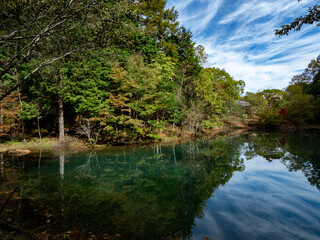 早秋の池