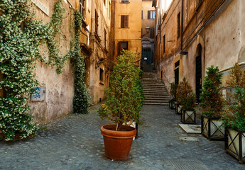 Fototapeta na wymiar Pretty little corner in Rome