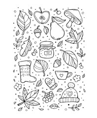 Autumn pattern. Harvest. Fruit, berries, leaves, flowers. Happy thanksgiving day. Set collection. Vector artwork. Black and white, monochrome. Coloring book page. Banner, print. Doodle icons