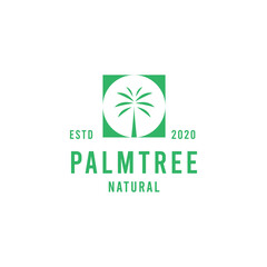 silhouette Palm Tree Logo design Vector