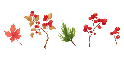 Set - branches with berries, maple leaf, pine branch. Vector illustration in a watercolor style.