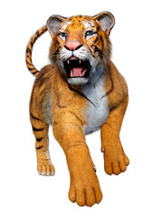 Obraz premium 3D Rendering Big Cat Tiger on White