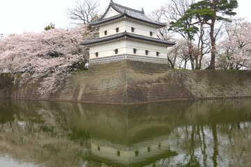 Fototapeta na wymiar 新発田城の桜