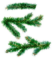 Set of spruce branches. Christmas tree. Conifer trees. Isolated on white. Abstract hand-drawn watercolor elements. Ideal for Merry Christmas and Happy New Year cards, flyers, brochures.