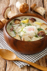 Kulajda is a Czech cuisine soup made with sour cream potatoes dill wild mushrooms and egg close-up in a bowl on the table. Vertical