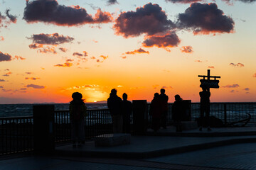 Naklejka premium Superb view of dolphins and the setting sun