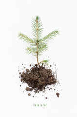 Christmas tree on a white background. Little green tree with roots and earth. New Year's minimal concept. Environment protection. Christmas greeting card.