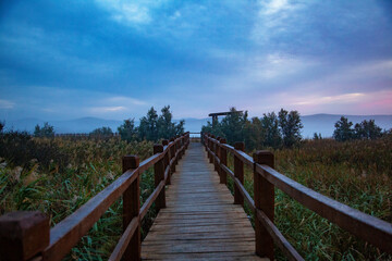 Fototapeta na wymiar Ornithological wooden bridge. Crow Lake. Croatia