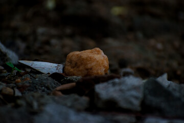 Stone on the ground