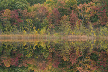 Autumn landscape of the shoreline of Williams Lake with mirrored reflections in calm water, Yankee Springs State Park, Michigan, USA