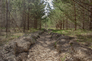 Fire trench in the forest. A dug ditch against the spread of fire in the forest.