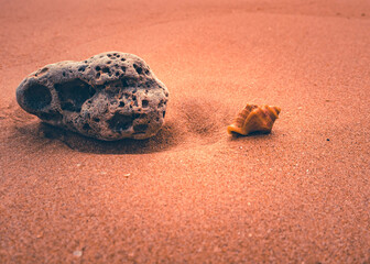 Rock and shells on the sand