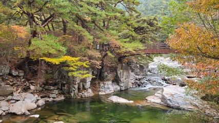 korea Autumn valley 1