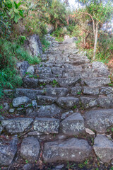 Inca's way. Last stairs to Machu Picchu peak