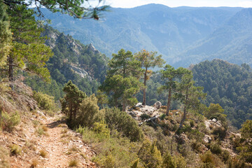 Los Ports natural Park