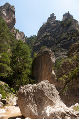 Ulldemó river. Los Ports natural park