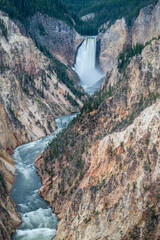 lower falls of the yellowstone national park from artist point, wyoming, usa