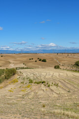 Plowed and harvested fields under blue sky
