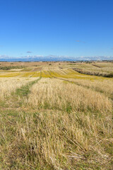 Vertical view of harvested fields under blue sky