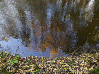 reflection of trees in the river in autumn