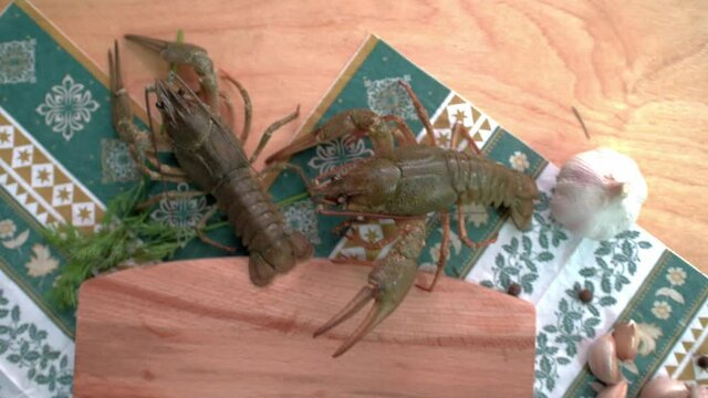Live crayfish move on wooden board jn wooden table. HD