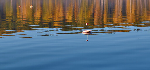 red fishing circle made of foam, floating on the water in the pond waiting for the bite of predatory fish