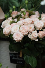 bouquet of roses in a vase, bouquet of roses, rose with water droplets, white rose, rose, flovers, flover, garden, nature, water, design, rose with water, flowers, beauty, nature, flowers, maket, pict