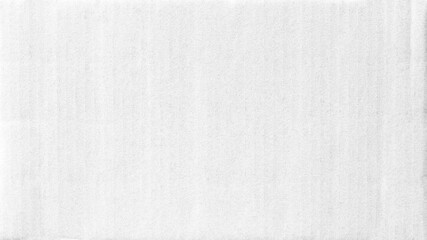 Horizontal white background paper texture with vertical line
