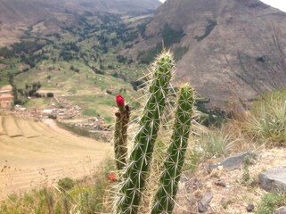 hiking in the mountains