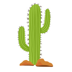 Vector flat illustration of a cactus with stones. Cactus for the background. Green plant with thorns in the desert. Flat style graphics for illustrations, games isolated on white. Cute cartoon cactus