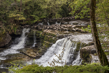 Fototapeta premium Aysgarth falls Yorkshire dales