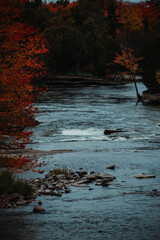 river with fall trees