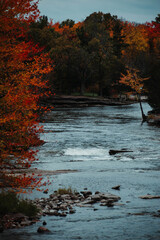 river with fall trees