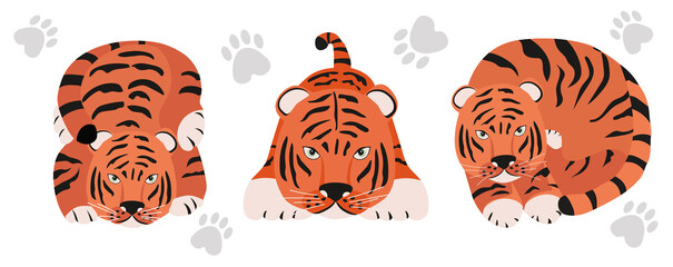 set of Tigers. Stylized cute animals of different poses. Funny cartoon character. Colorful vector illustration in flat style.