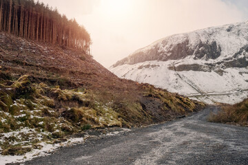 View on a pine tree forest and mountain peak covered with snow. Gleniff Horseshoe Drive, county Sligo, Ireland, Warm sunny winter day. Sun flare