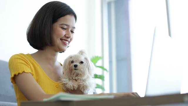Young Asian woman sitting in front of a laptop computer With white maltese in the living room