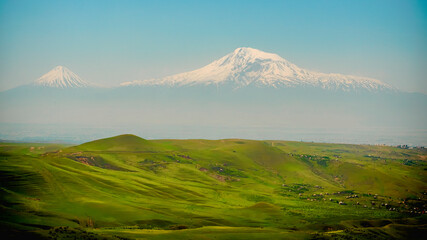 Fototapeta premium OLYMPUS DIGITAL CAMERA