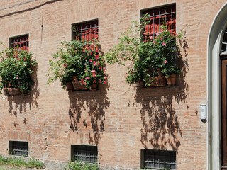 Fototapeta na wymiar Ferrara, Italy. Summer sunny day, windows with flowering plants.