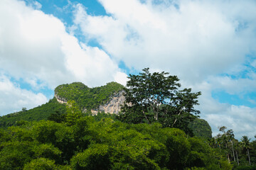 Obraz premium Landscape photo of heart shape rocky mountain with clear blue sky and white fluffy clouds. There are many trees around with lush green color. The idea for exotic natural wallpaper with copy space.