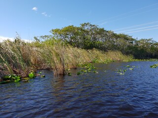 Everglades, Florida, USA