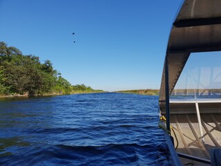 Everglades, Florida, USA