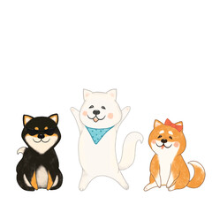 funny shiba inu dogs of different colors at the holiday