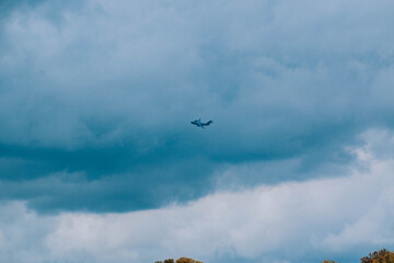 plane flying with trees