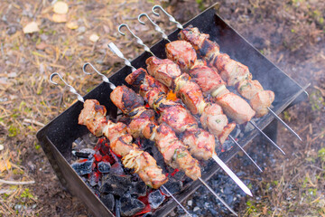 
grilled meat, meat on skewers on the grill, smoke, charcoal