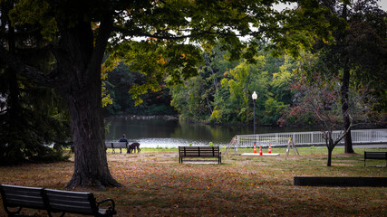 Bench by lake