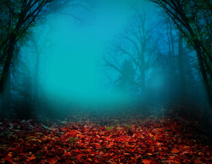 Autumn in forest. Landscape with blue fog, red fallen leaves, leafless trees, branches silhouettes