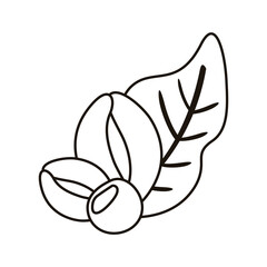 coffee plant grains and leafs nature line style icon