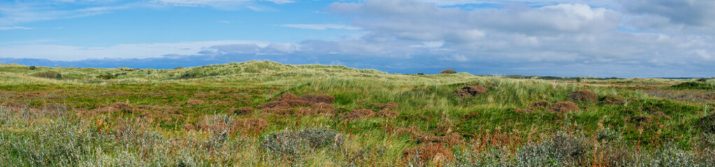 View over the dunes and wetlands of Ameland, Holland